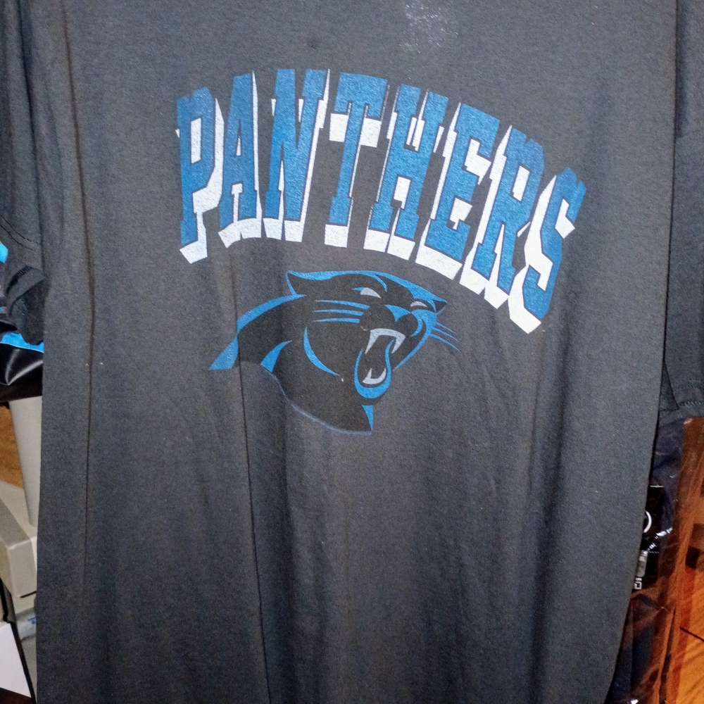 Panthers Graphic T-Shirt